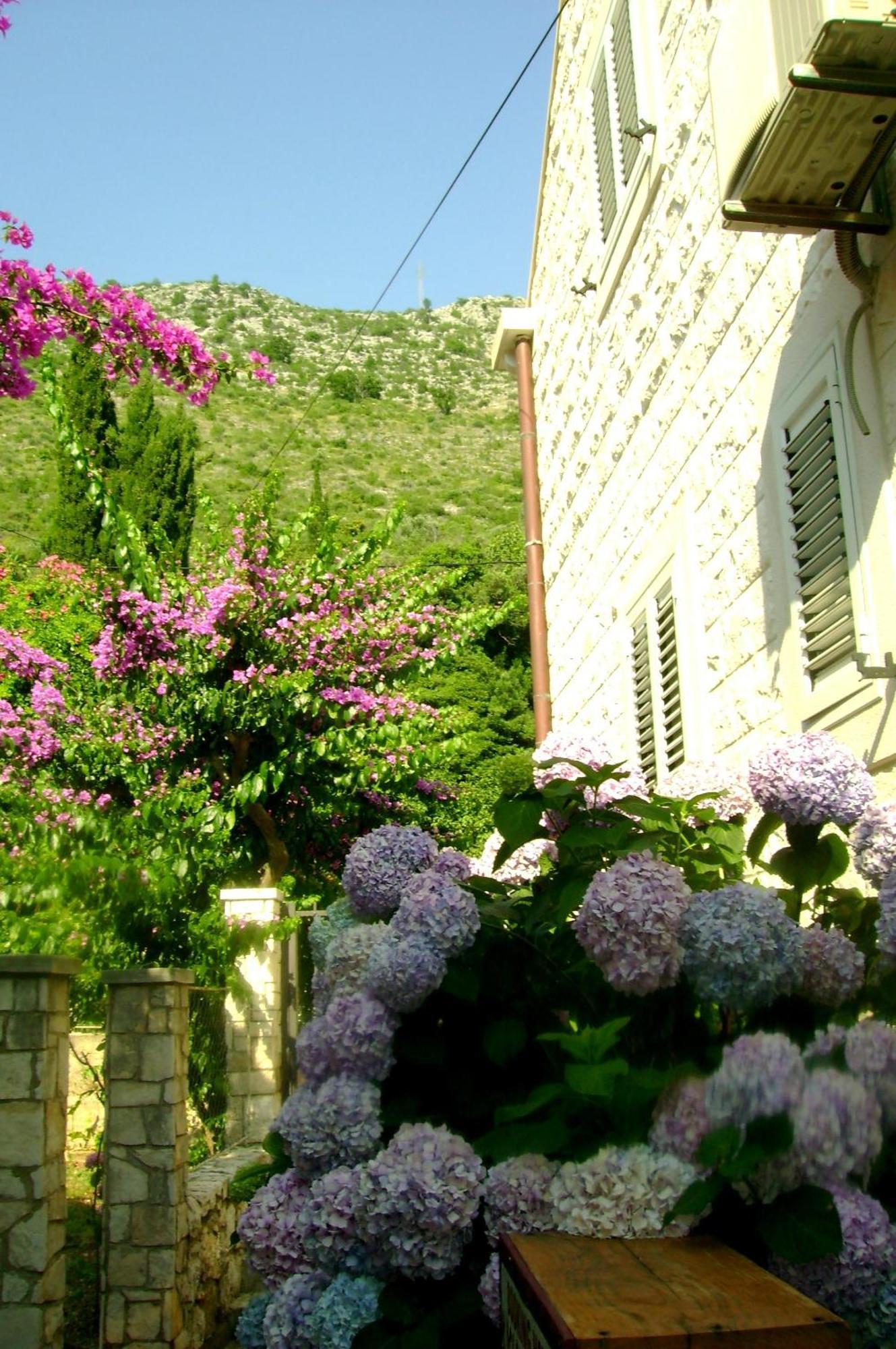 Apartments Capitano Blue Zaton  Εξωτερικό φωτογραφία