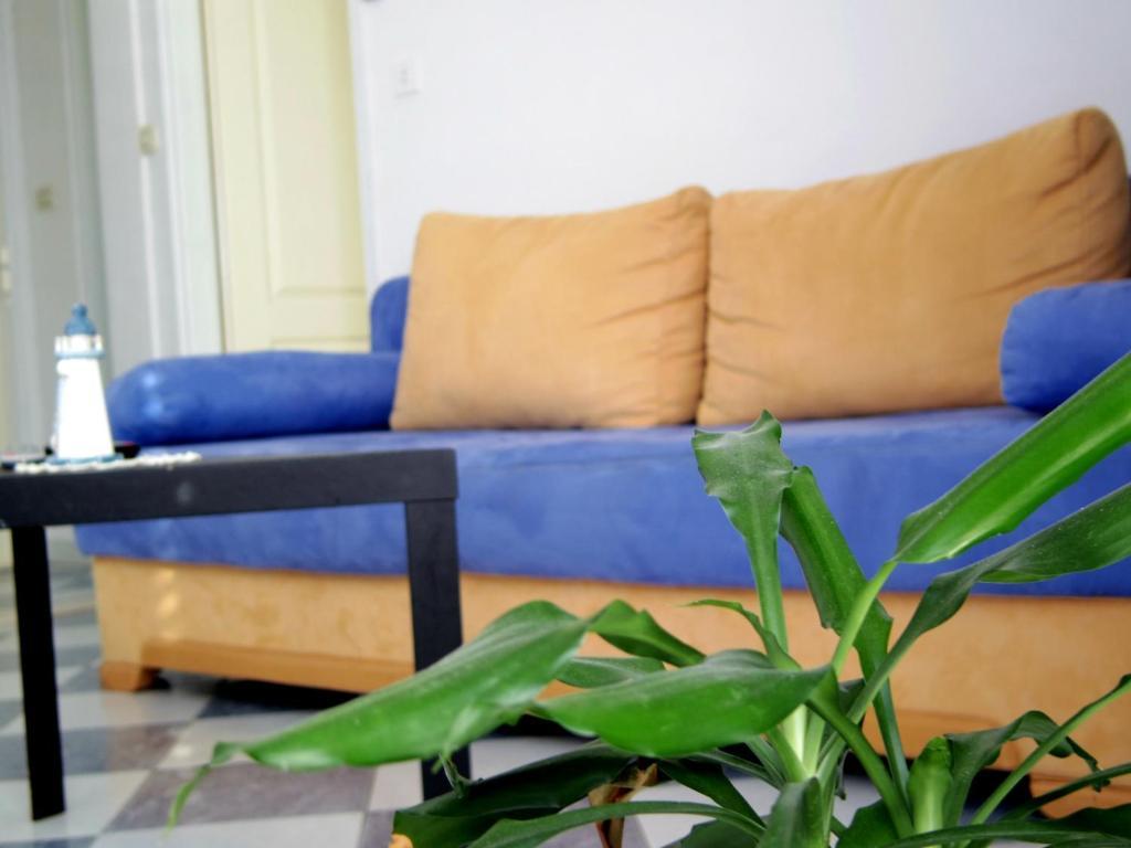 Apartments Capitano Blue Zaton  Δωμάτιο φωτογραφία